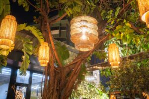 ananea_Kleopatra_Beach_Tree_of_Life (9)